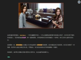 [HTML/浏览器汉化] 我的朋友 Friends of Mine V1.4 浏览器转中文 电脑 [2.5G]-春天资源分享网