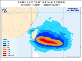 台风“杨柳”预计将于次日登陆沿海地带  预计强降雨可能引发连锁灾害-春天资源分享网