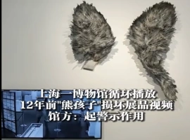 两名男孩损坏展品且视频循环播放了12年的情况-春天资源分享网