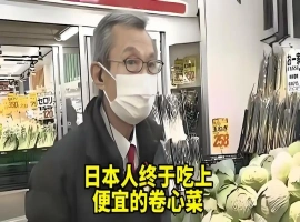 中国出口到美国的蔬菜因市场变化转向了日本市场-春天资源分享网