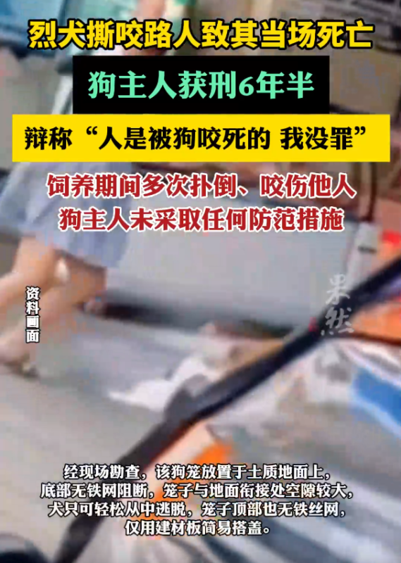 频繁发生事故的恶犬造成了人员伤害，但狗的主人却辩解称：“人员的伤亡是由于狗咬引起的。”-春天资源分享网