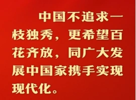 中国现代化之路，秉持和平发展的理念，致力于构建一条和平、合作、共赢的现代化道路。-春天资源分享网